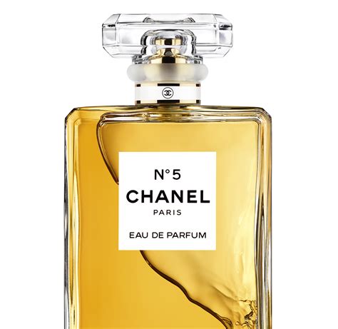 chanel 5 parfum man|chanel 5 perfume price.